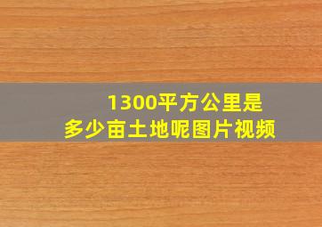 1300平方公里是多少亩土地呢图片视频