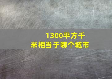 1300平方千米相当于哪个城市