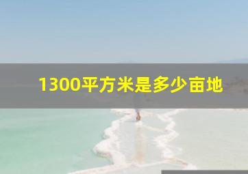 1300平方米是多少亩地