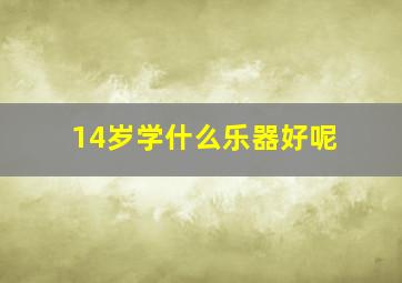 14岁学什么乐器好呢