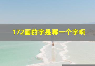 172画的字是哪一个字啊