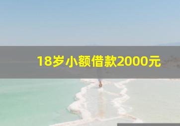 18岁小额借款2000元