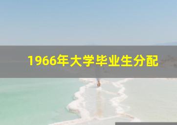 1966年大学毕业生分配