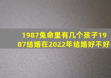 1987兔命里有几个孩子1987结婚在2022年结婚好不好