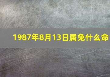 1987年8月13日属兔什么命