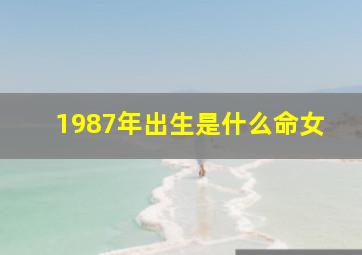 1987年出生是什么命女