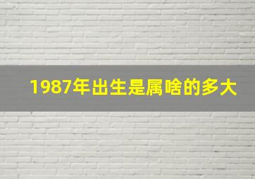 1987年出生是属啥的多大