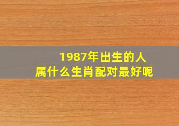 1987年出生的人属什么生肖配对最好呢