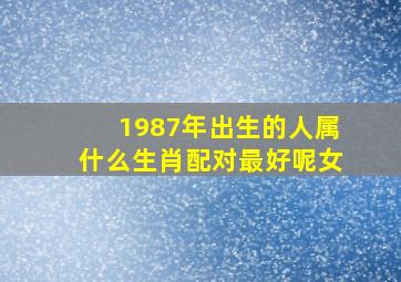 1987年出生的人属什么生肖配对最好呢女