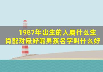 1987年出生的人属什么生肖配对最好呢男孩名字叫什么好