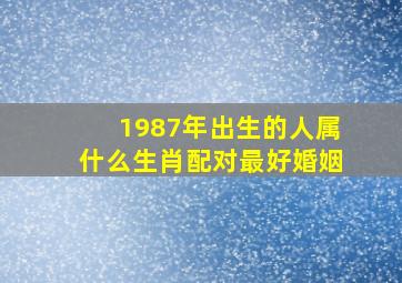 1987年出生的人属什么生肖配对最好婚姻