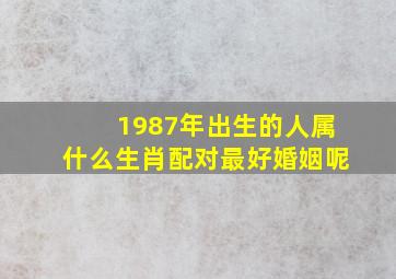 1987年出生的人属什么生肖配对最好婚姻呢