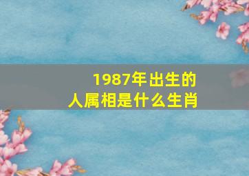 1987年出生的人属相是什么生肖