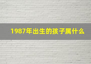 1987年出生的孩子属什么