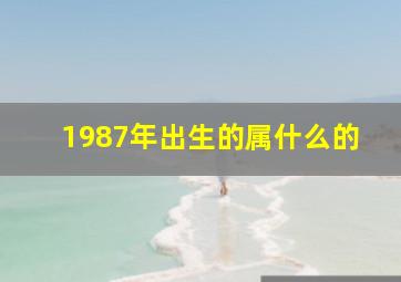 1987年出生的属什么的