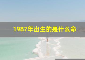 1987年出生的是什么命