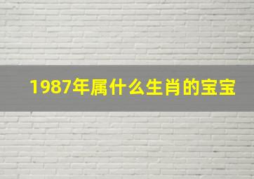 1987年属什么生肖的宝宝