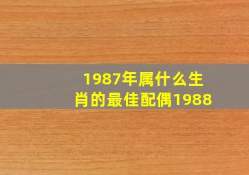 1987年属什么生肖的最佳配偶1988