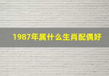 1987年属什么生肖配偶好