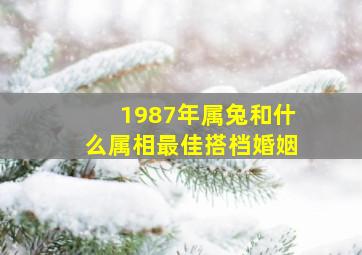 1987年属兔和什么属相最佳搭档婚姻