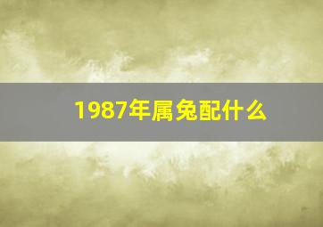 1987年属兔配什么