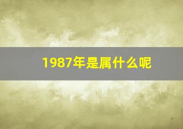 1987年是属什么呢