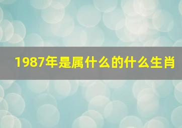 1987年是属什么的什么生肖