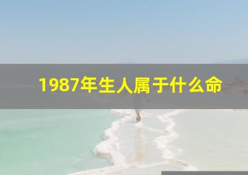 1987年生人属于什么命