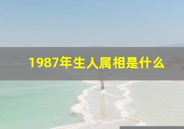 1987年生人属相是什么