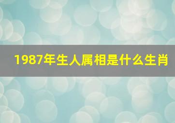 1987年生人属相是什么生肖