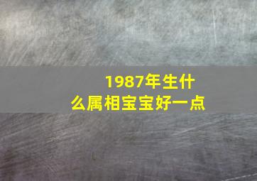 1987年生什么属相宝宝好一点