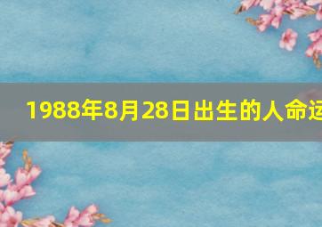 1988年8月28日出生的人命运