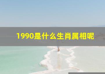 1990是什么生肖属相呢