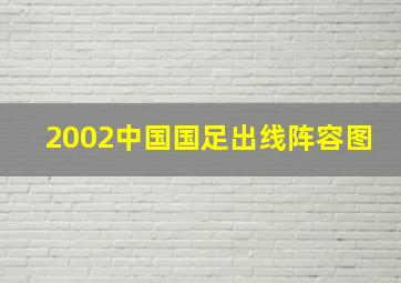 2002中国国足出线阵容图