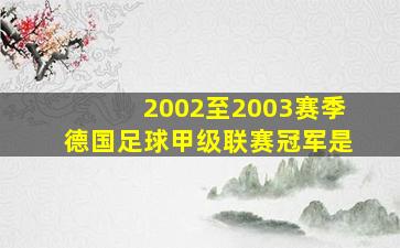 2002至2003赛季德国足球甲级联赛冠军是