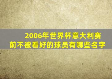 2006年世界杯意大利赛前不被看好的球员有哪些名字