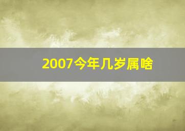 2007今年几岁属啥