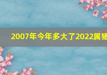 2007年今年多大了2022属猪