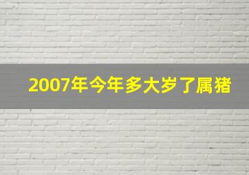 2007年今年多大岁了属猪