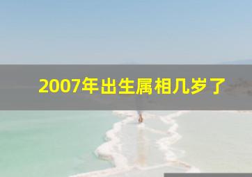 2007年出生属相几岁了