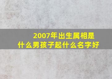 2007年出生属相是什么男孩子起什么名字好