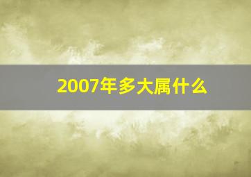 2007年多大属什么