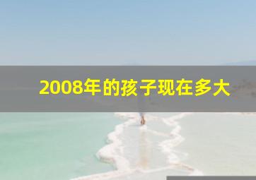 2008年的孩子现在多大