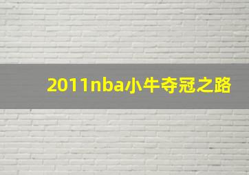 2011nba小牛夺冠之路