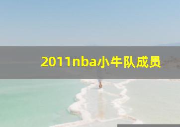 2011nba小牛队成员