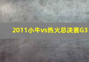 2011小牛vs热火总决赛G3