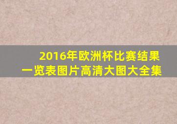 2016年欧洲杯比赛结果一览表图片高清大图大全集