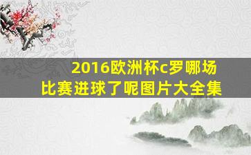 2016欧洲杯c罗哪场比赛进球了呢图片大全集