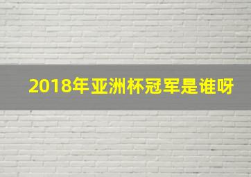 2018年亚洲杯冠军是谁呀