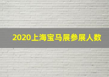 2020上海宝马展参展人数